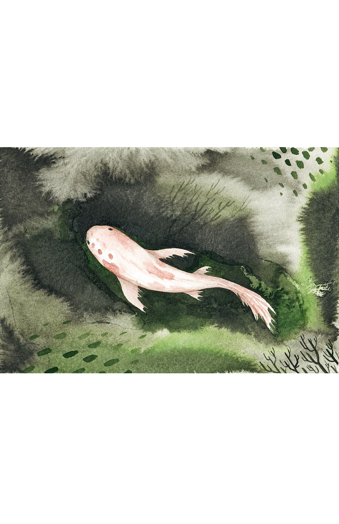 4th Image - Discover Mossy Rock Artwork UPDATED DIMENSIONS-min