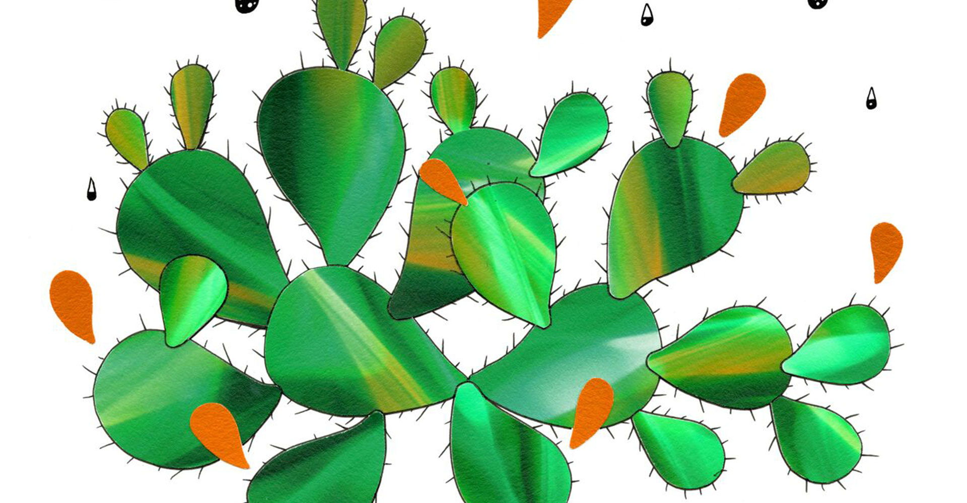 Cactus-HomeFeatured-1920x1000